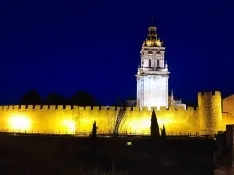 Una imagen de la muralla burgense. /ABO