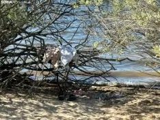 Playa Pita. /SN