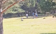 Una imagen de la Dehesa de Navagrulla este domingo. 