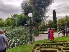 Foto 6 - Tremendo susto en la Dehesa tras la rotura de la rama de un &aacute;rbol en medio del parque