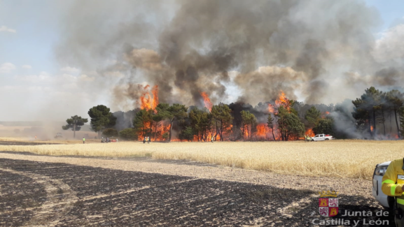 El incendio de Los Rábanos calcinó casi 18 hectáreas de superficie forestal y agrícola