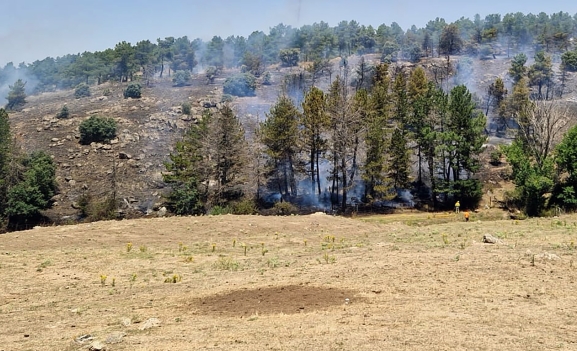 Un fuego hoy en La Cuesta, incidente forestal este martes