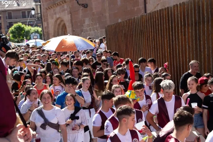 Bailas 2024