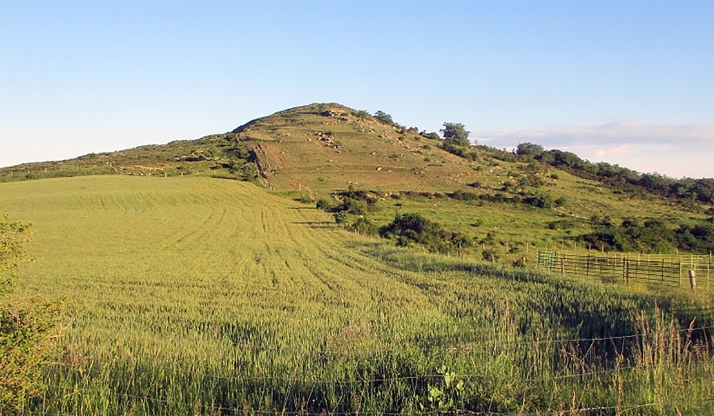 La Complutense investigará las raíces celtibéricas de Sarnago