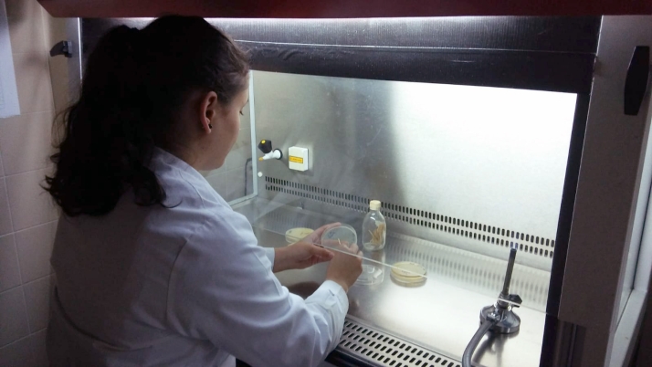 Cesefor trabaja en el estudio de bioactivos para evitar el uso excesivo pesticidas 