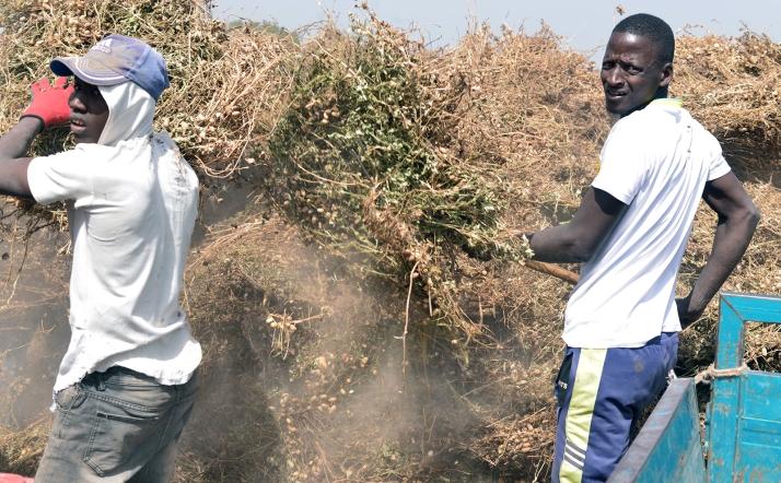 La ONG soriana Cives Mundi recoge con una exposición y una web testimonios de inmigrantes retornados