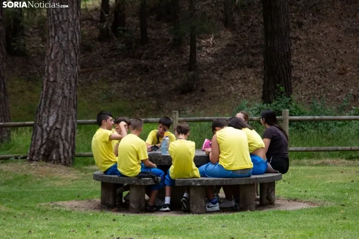 Día de las Peñas San Leonardo 2024