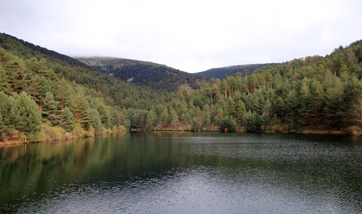 3,9 M&euro; en subvenciones regionales a 64 proyectos en las áreas de influencia socioeconómica de los parques de Picos de Europa y Sierra de Guadarrama