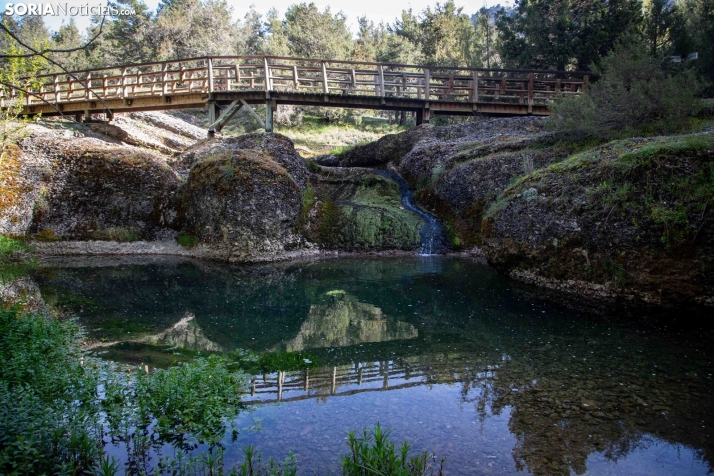 La Fuentona y el Sabinar de Calatañazor. /SN