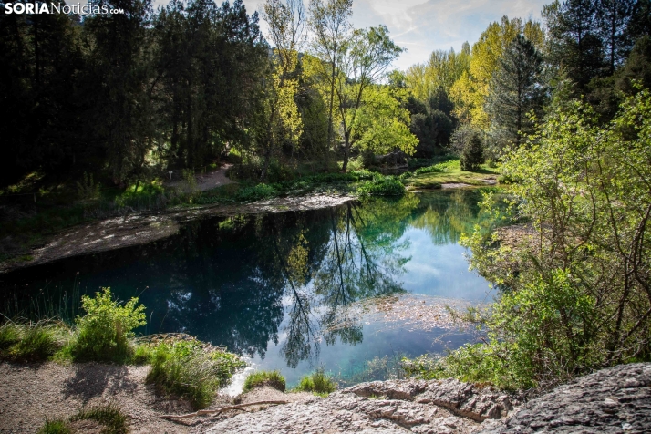 La Fuentona y el Sabinar de Calatañazor. /SN