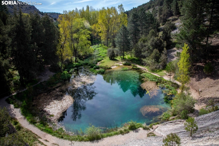 La Fuentona y el Sabinar de Calatañazor. /SN