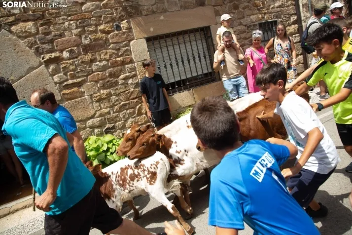 Mercado Tradicional de Almarza