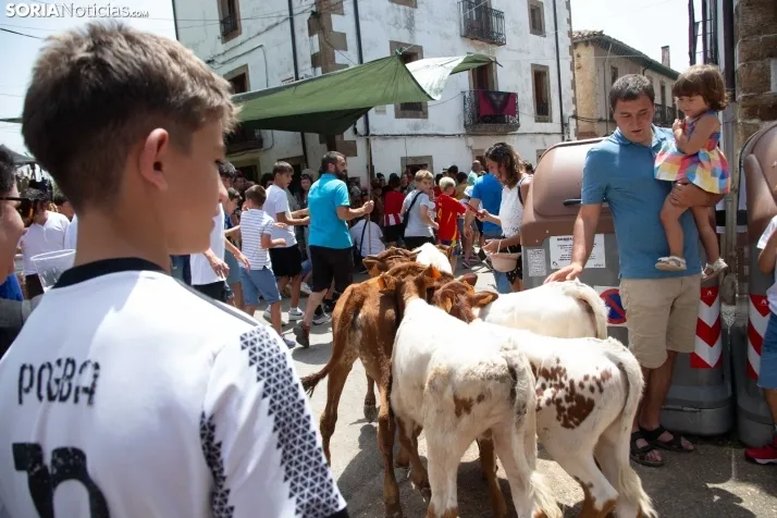 Mercado Tradicional de Almarza