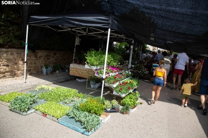 Mercado Tradicional de Almarza