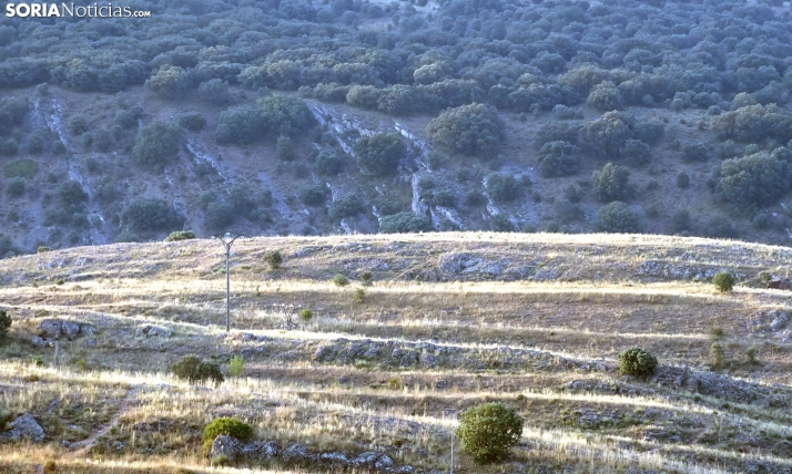 El calor que no cesa