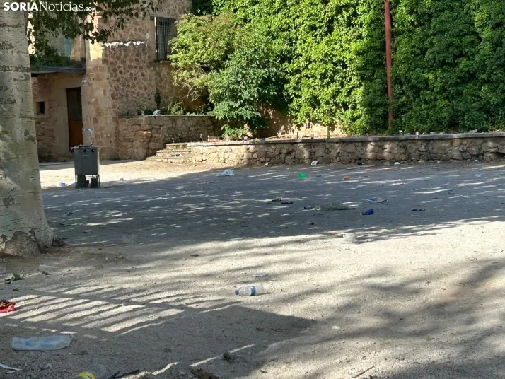 En im&aacute;genes: Las orillas del Duero, pr&aacute;cticamente impolutas, tras la celebraci&oacute;n del Encl