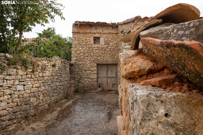 Un paseo por Rello./Viksar Fotografía
