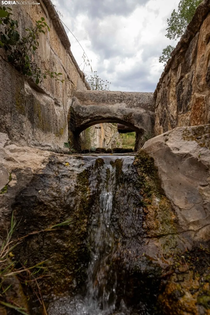 Un paseo por Rello./Viksar Fotografía