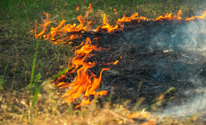 Parte de incendios: Cien metros de pasto quemados en Sotillo del Rincón