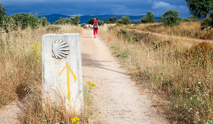 Estas son las rutas del Camino de Santiago que pasan por la provincia de Soria