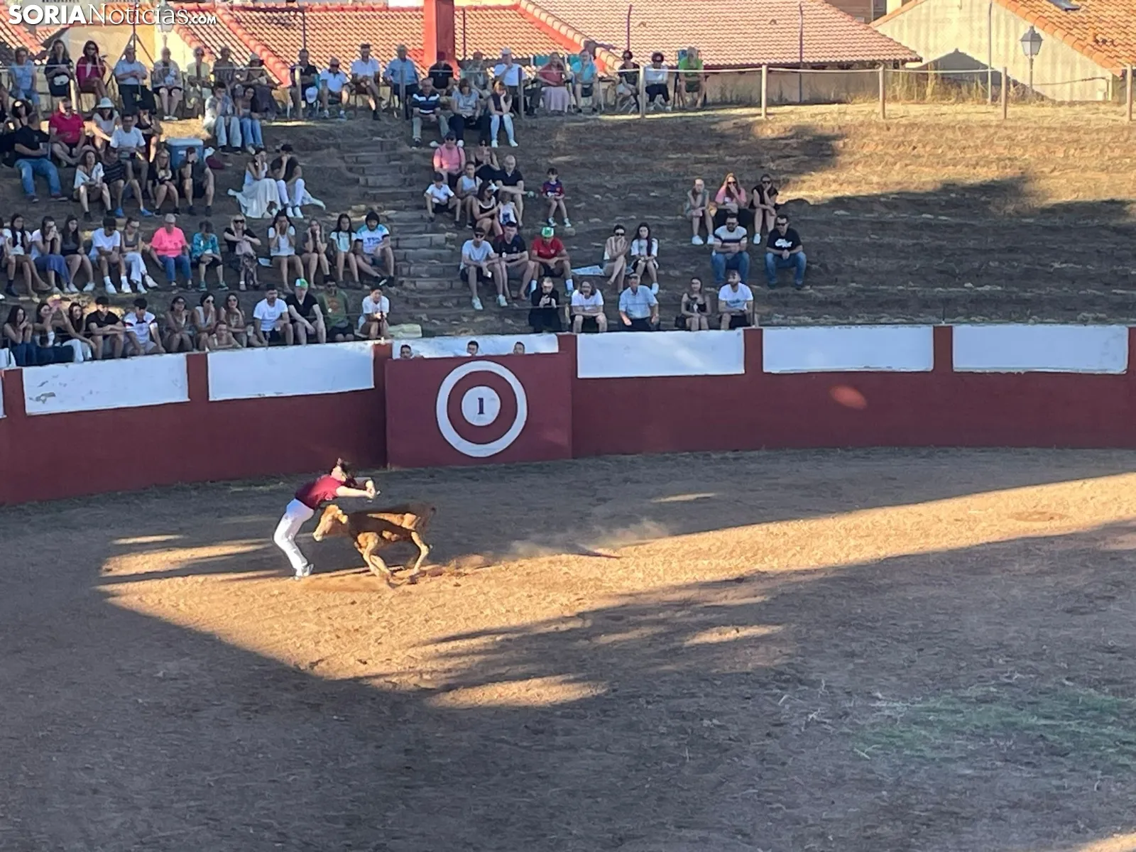 Recortadores Quintana Redonda