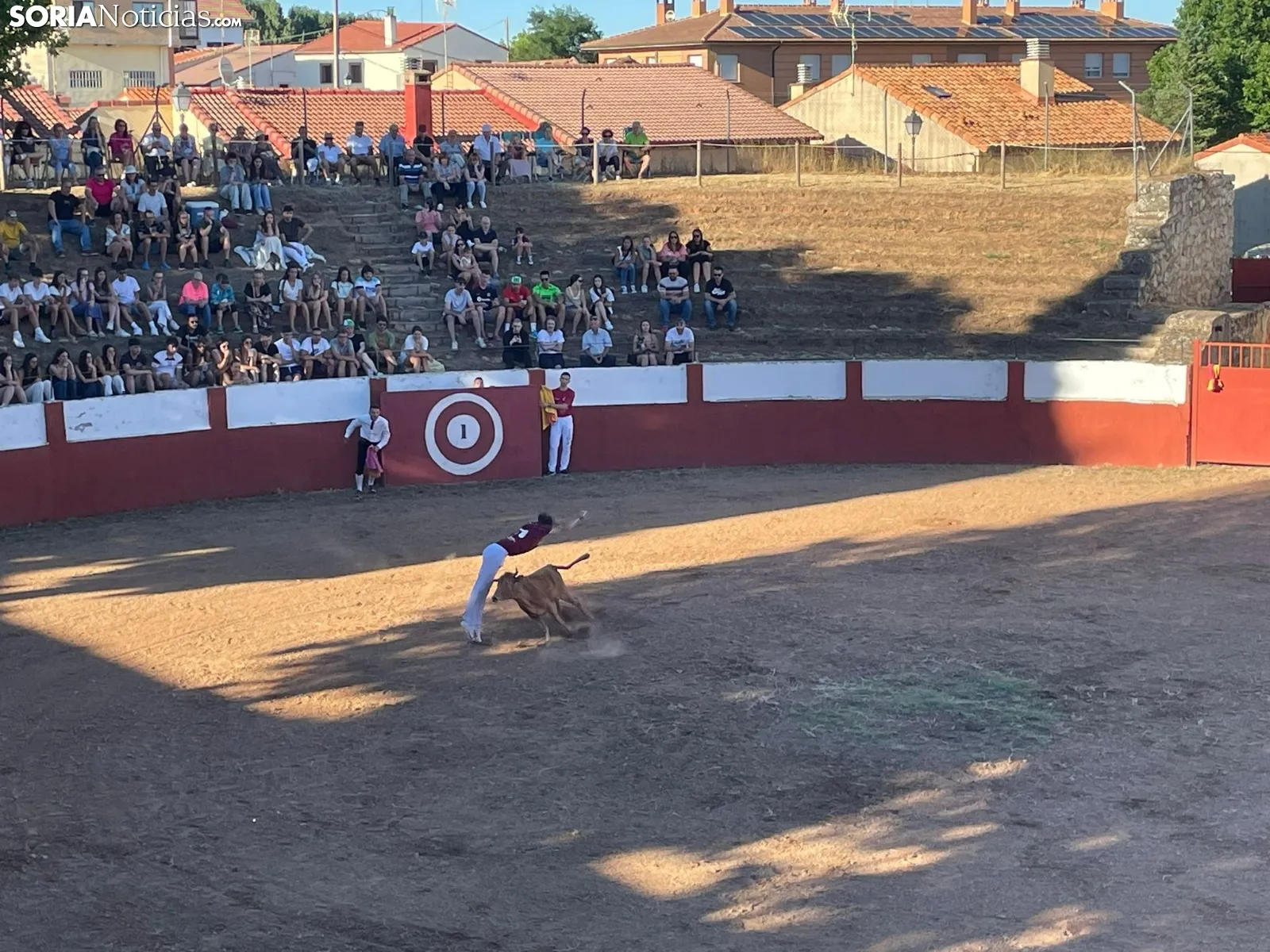 Recortadores Quintana Redonda