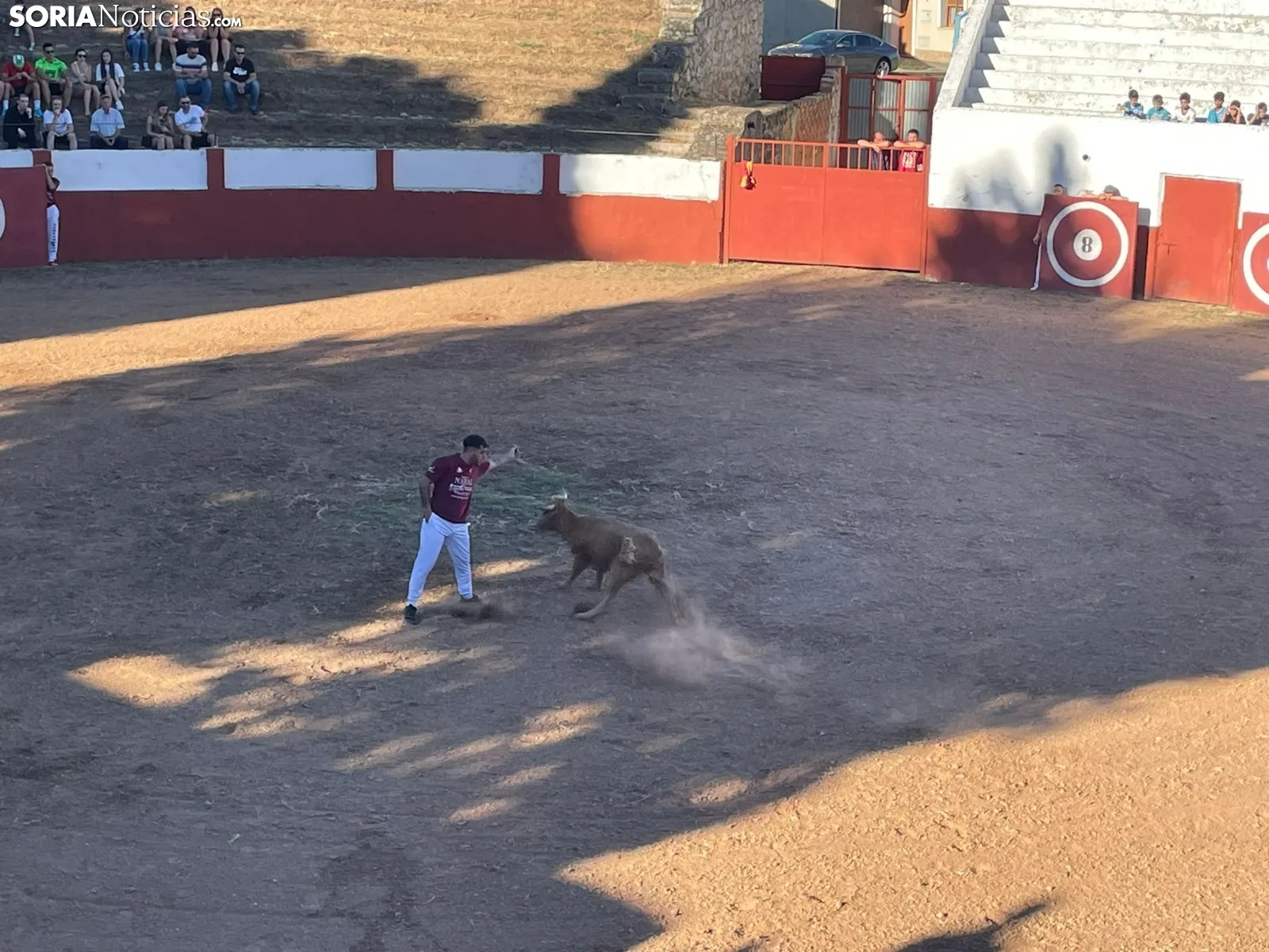 Recortadores Quintana Redonda