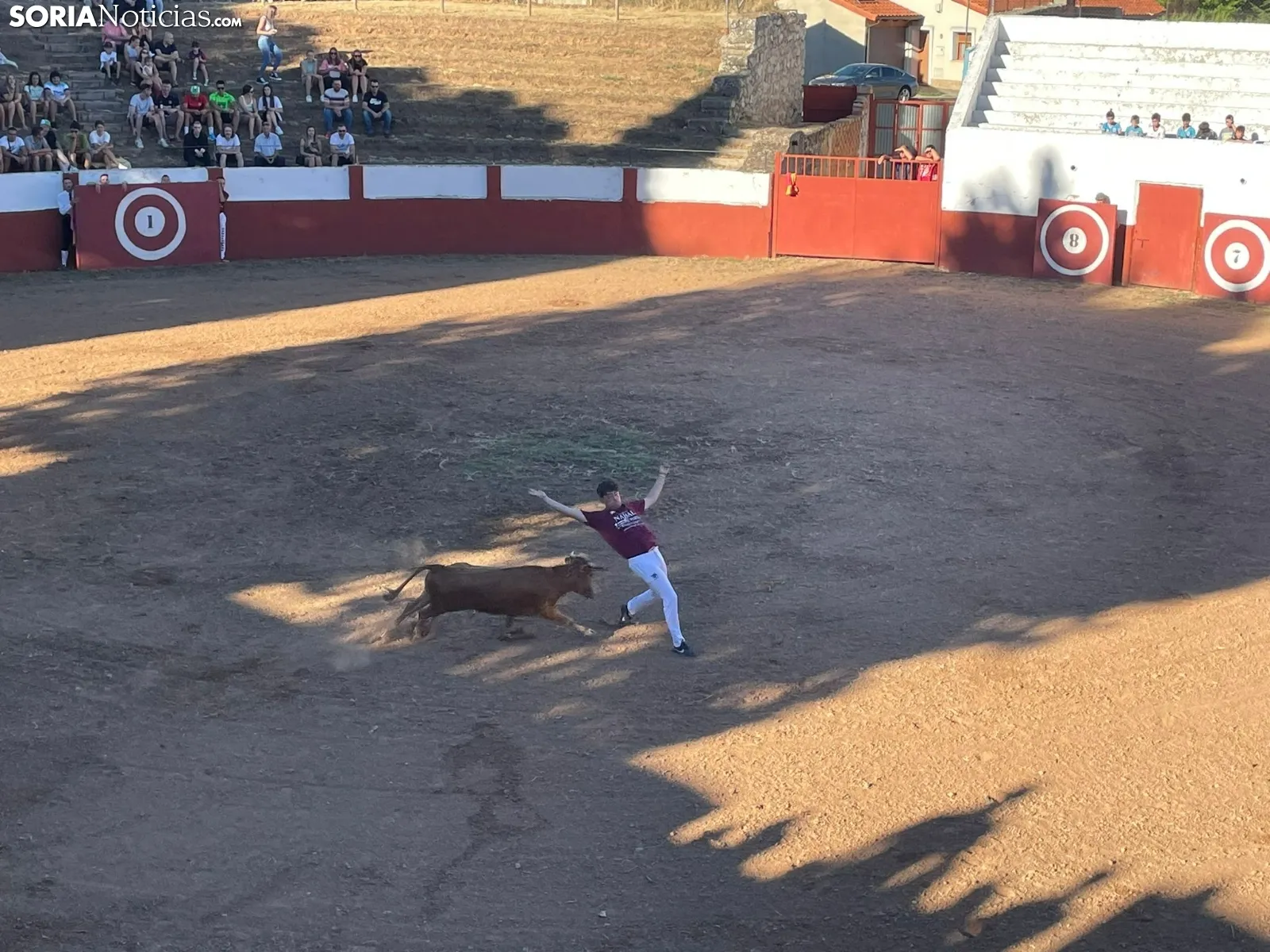 Recortadores Quintana Redonda