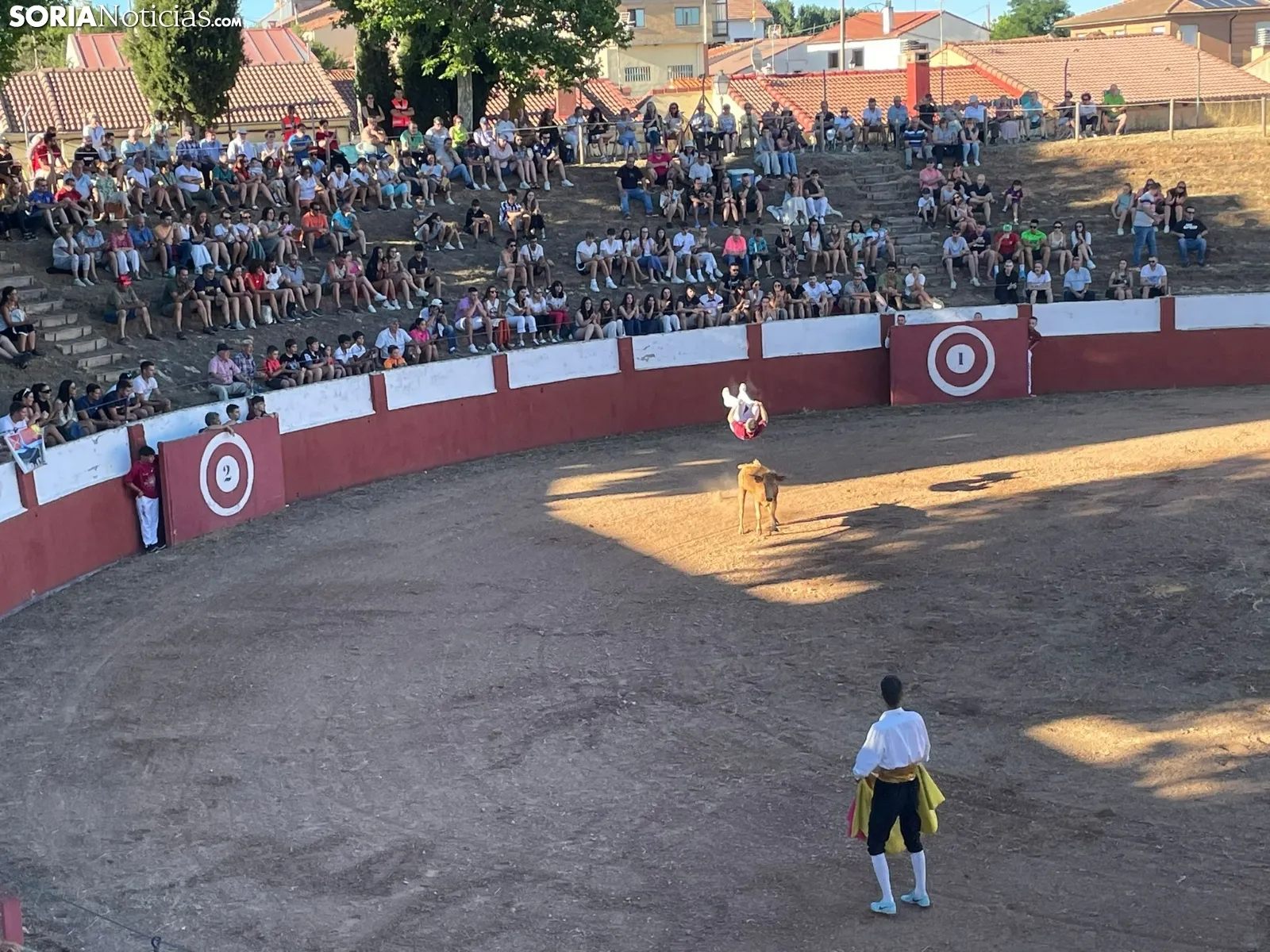 Recortadores Quintana Redonda