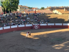 Recortadores Quintana Redonda