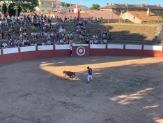 Recortadores Quintana Redonda