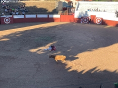 Recortadores Quintana Redonda