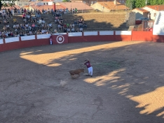 Recortadores Quintana Redonda