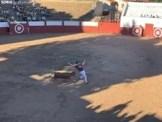 Recortadores Quintana Redonda