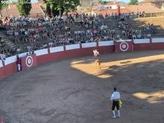 Recortadores Quintana Redonda