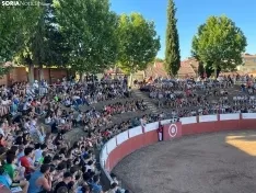 Recortadores Quintana Redonda