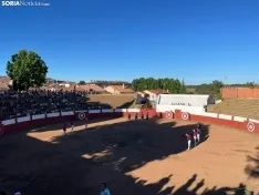 Recortadores Quintana Redonda