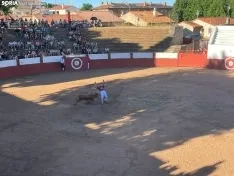 Recortadores Quintana Redonda