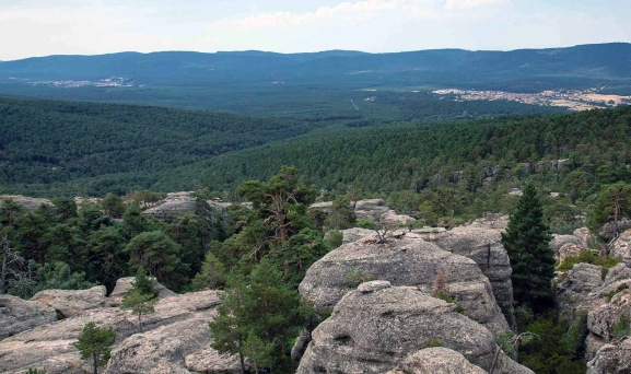 La Junta gestiona 3.548 Montes de Utilidad Pública cuyos aprovechamientos forestales aportan 40 M€ al año para los ayuntamientos propietarios