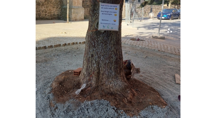 ASDEN expone 50 ejemplos para afirmar que la ciudad de Soria no cuida sus árboles