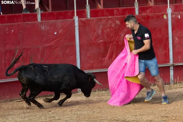 Concentración de peñas Berlanga 2024