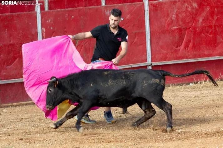 Concentración de peñas Berlanga 2024
