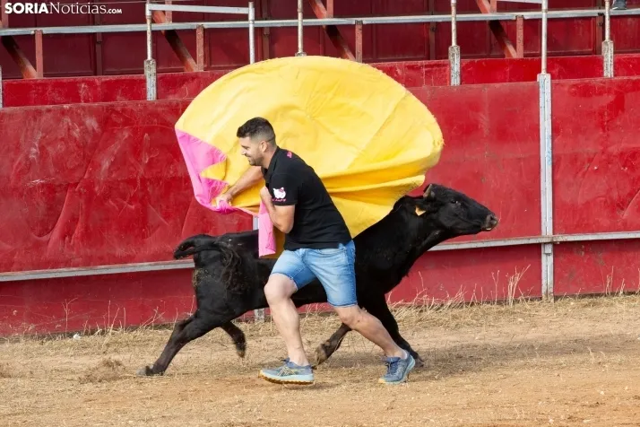 Concentración de peñas Berlanga 2024