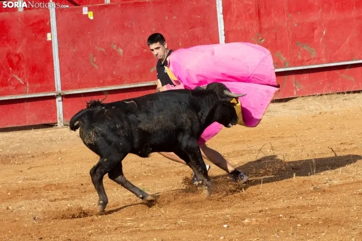 Concentración de peñas Berlanga 2024