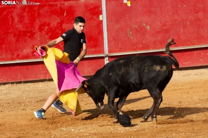 Concentración de peñas Berlanga 2024