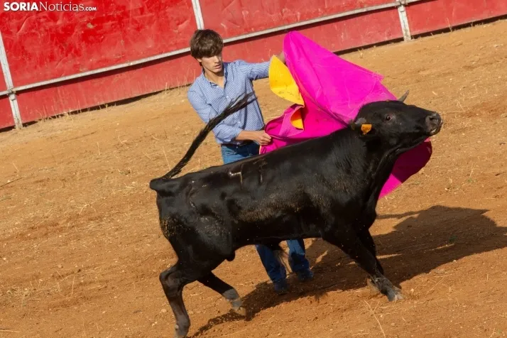 Concentración de peñas Berlanga 2024