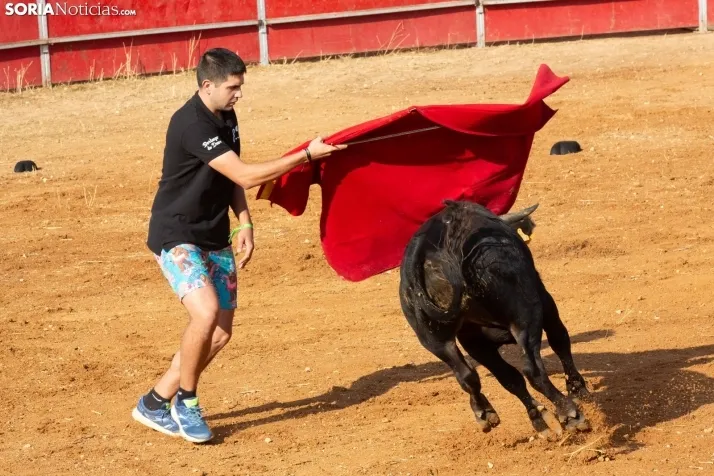 Concentración de peñas Berlanga 2024