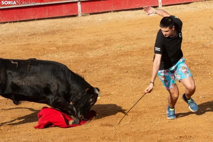 Concentración de peñas Berlanga 2024