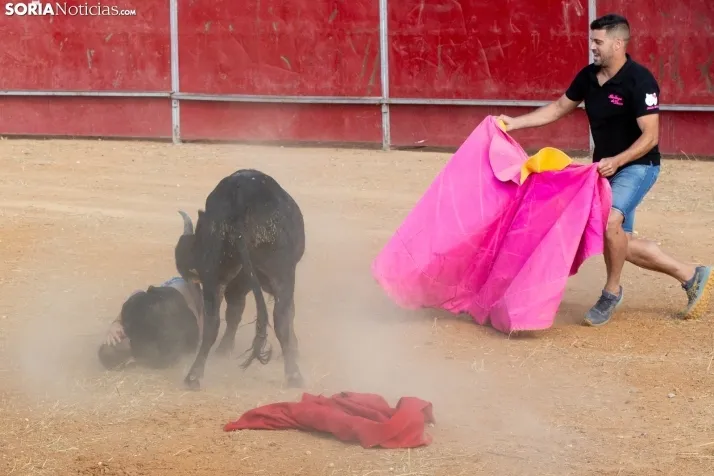 Concentración de peñas Berlanga 2024