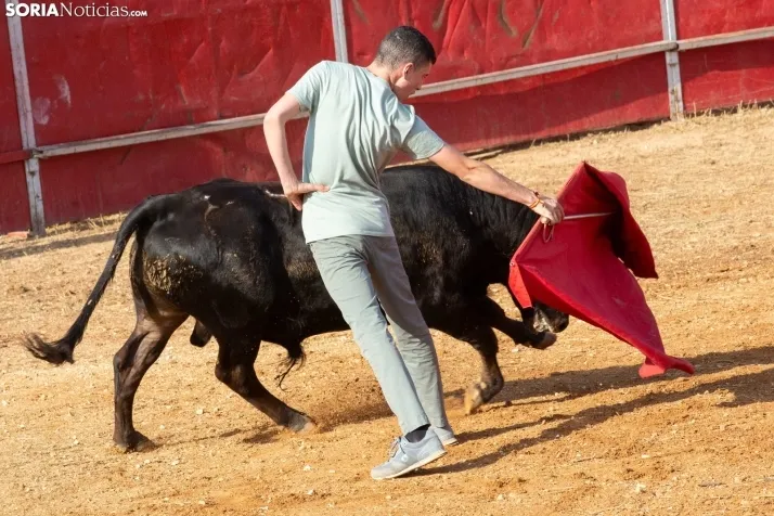 Concentración de peñas Berlanga 2024
